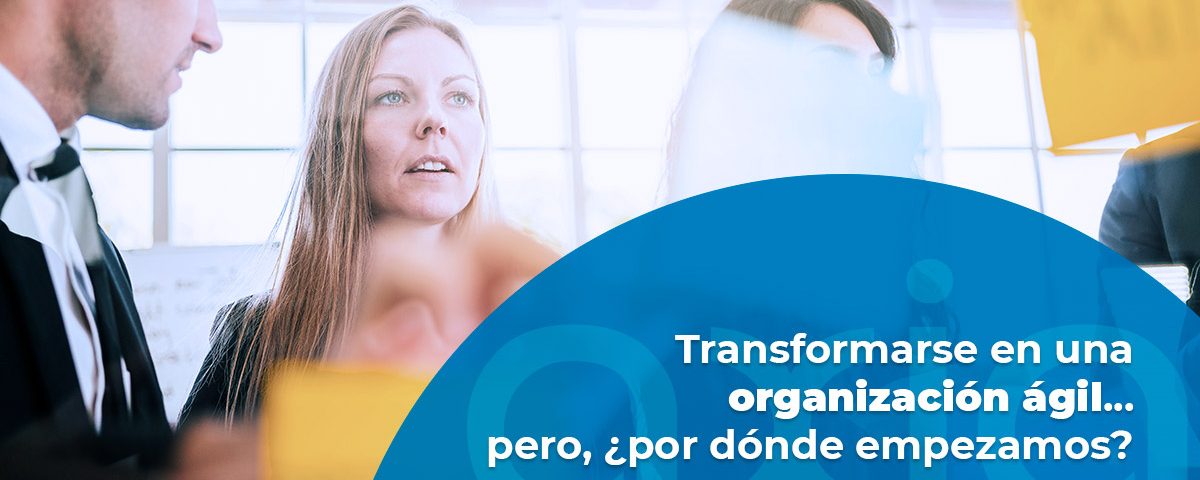 Transformarse en una organización ágil