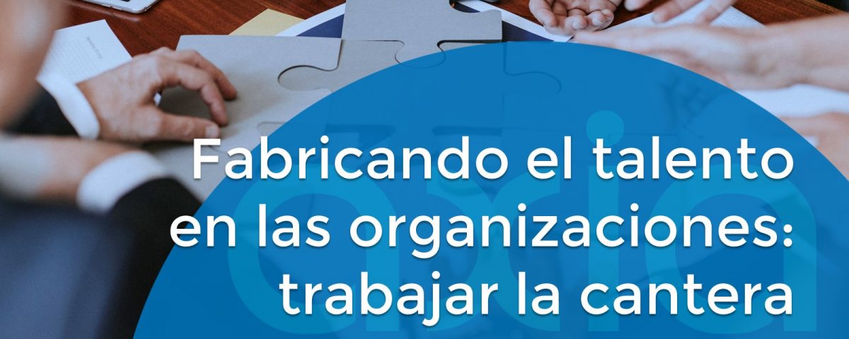 Fabricando el talento en las organizaciones: trabajar la cantera