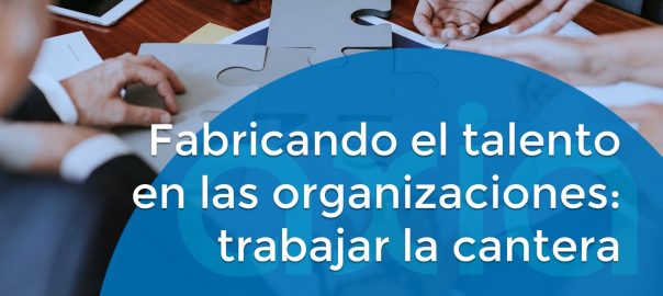 Fabricando el talento en las organizaciones: trabajar la cantera